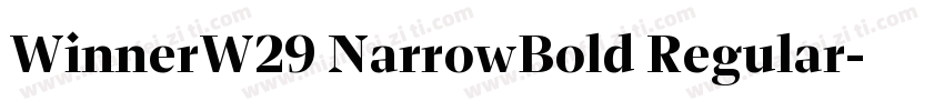 WinnerW29 NarrowBold Regular字体转换